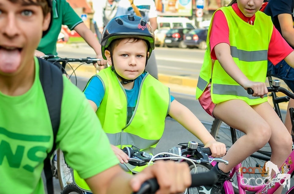 Critical Mass, 