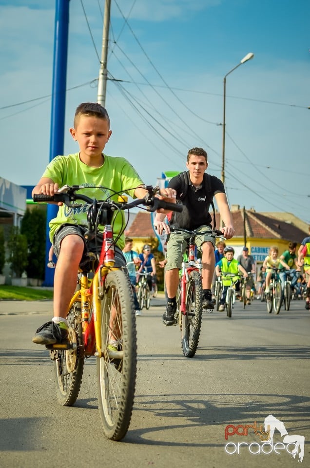 Critical Mass,