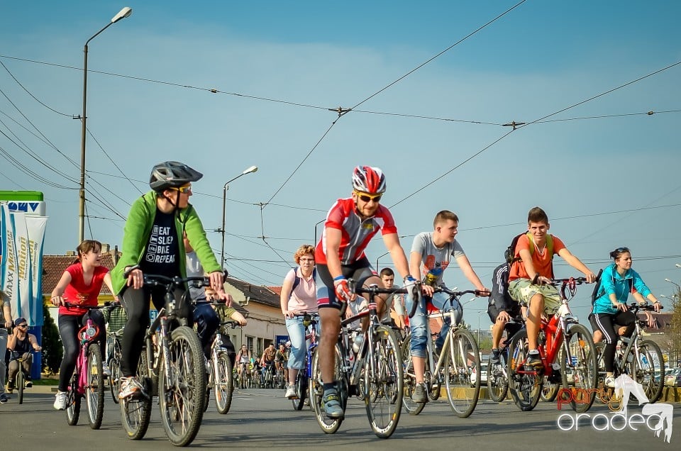 Critical Mass,