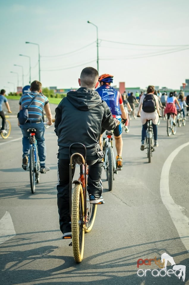 Critical Mass,