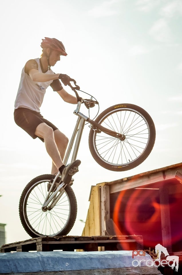 Critical Mass,