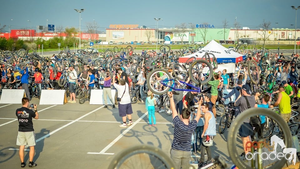 Critical Mass,