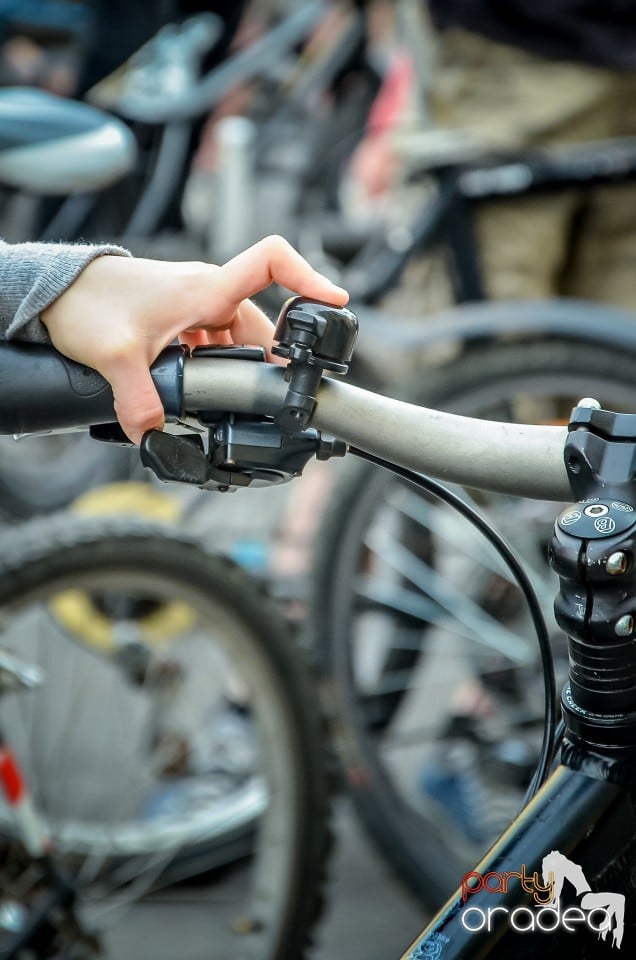 Critical Mass,