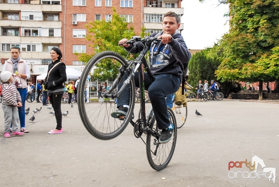 Critical Mass, Oradea