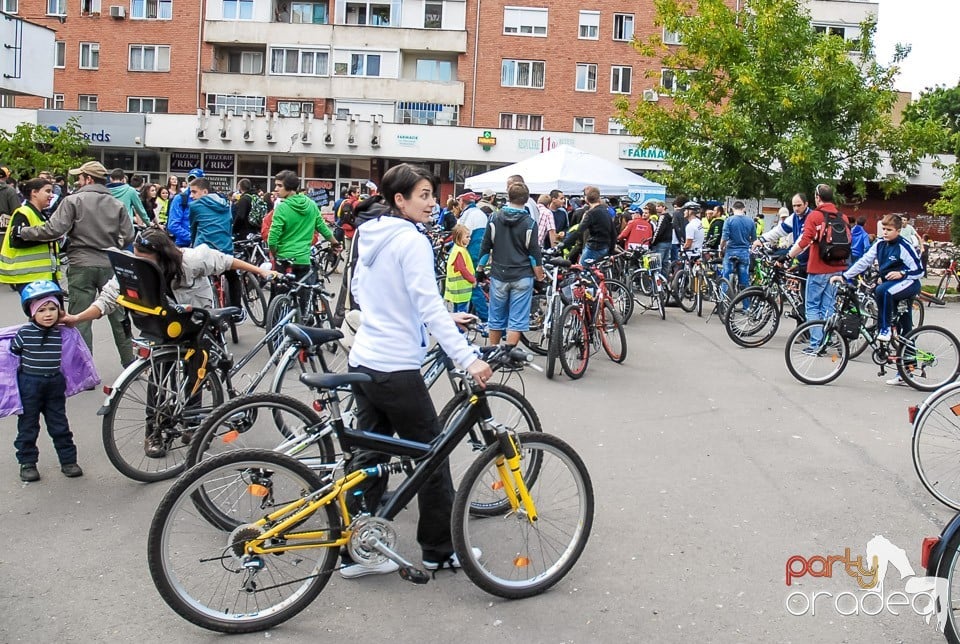 Critical Mass, Oradea