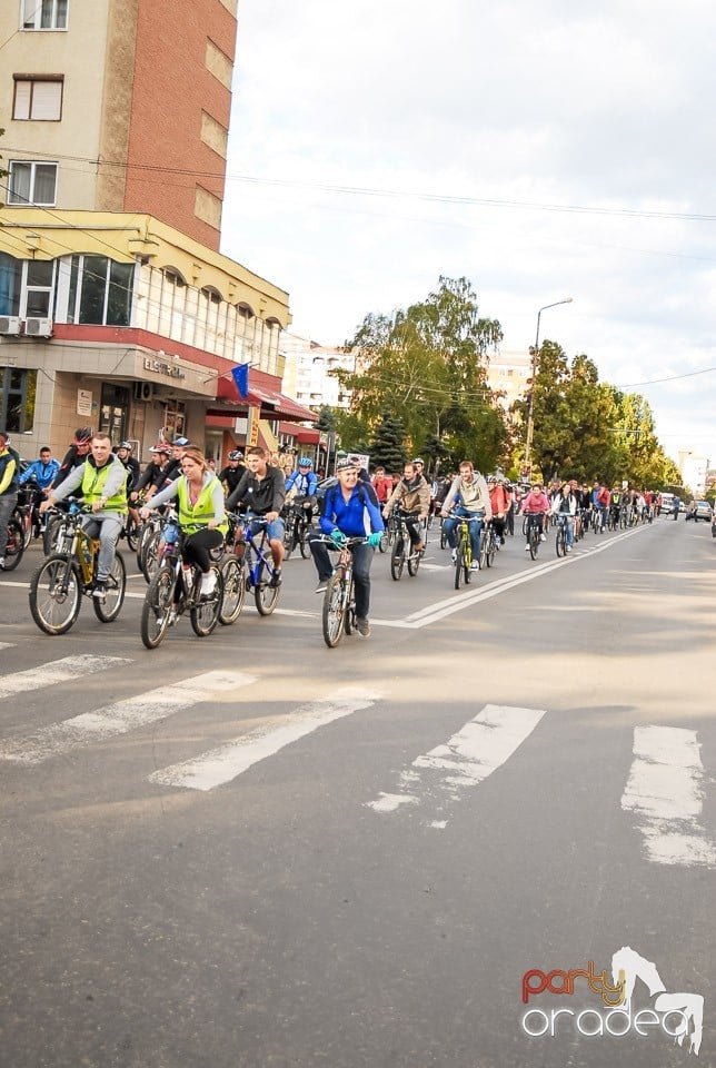 Critical Mass, Oradea