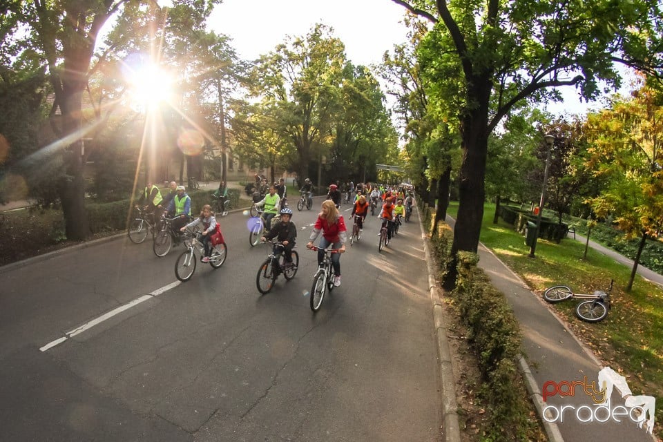 Critical Mass, Oradea