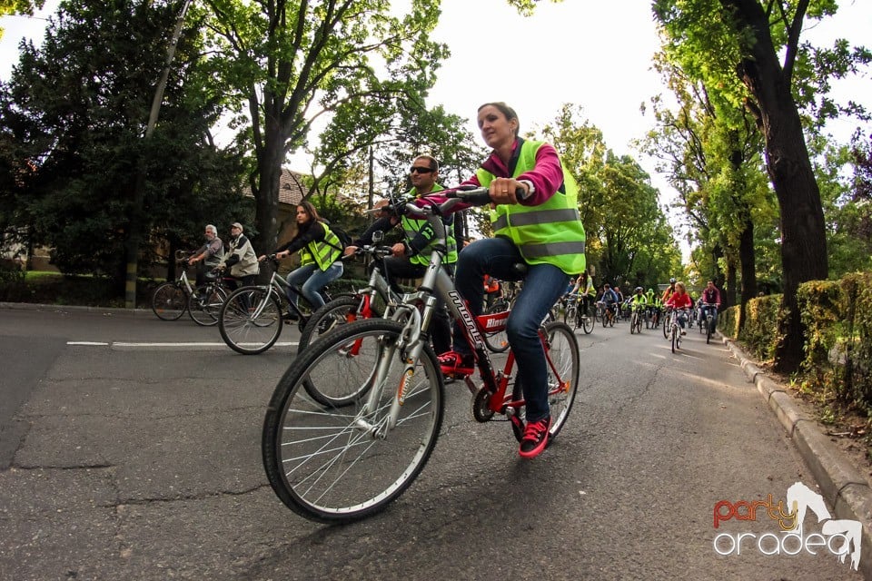 Critical Mass, Oradea