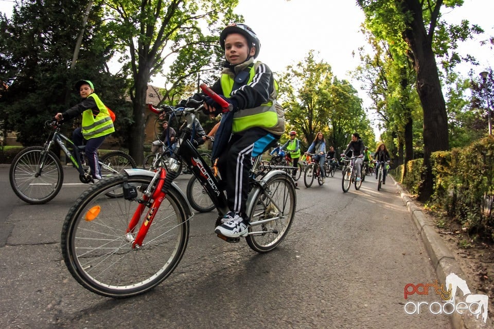 Critical Mass, Oradea