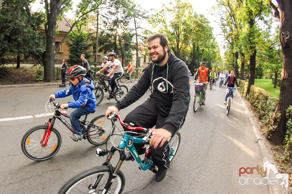 Critical Mass, Oradea