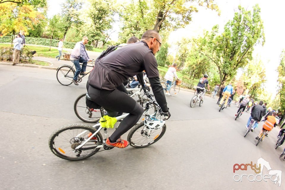 Critical Mass, Oradea