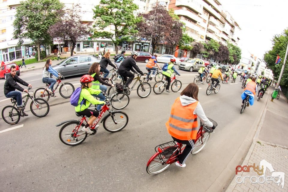 Critical Mass, Oradea