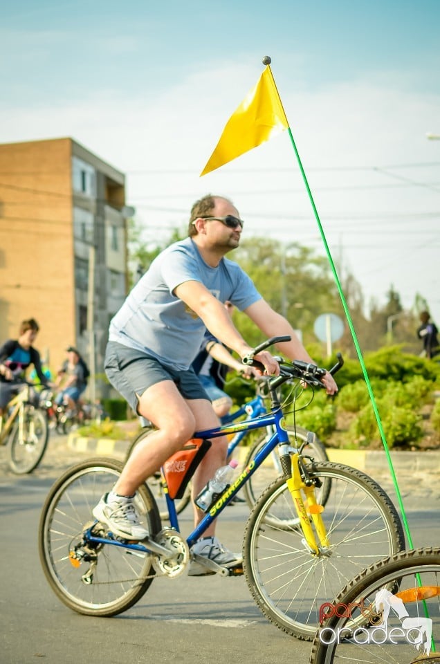 Critical Mass, 