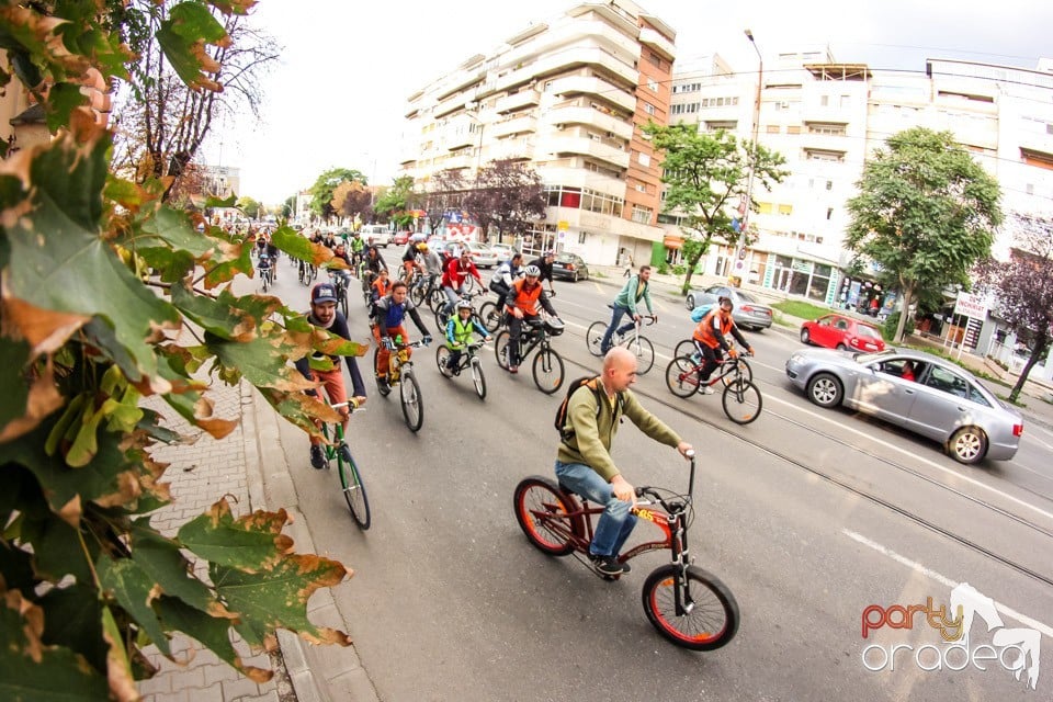 Critical Mass, Oradea