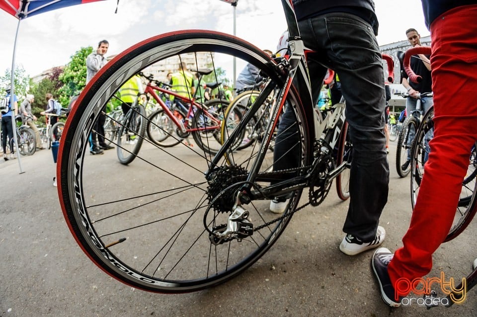 Critical Mass, Oradea