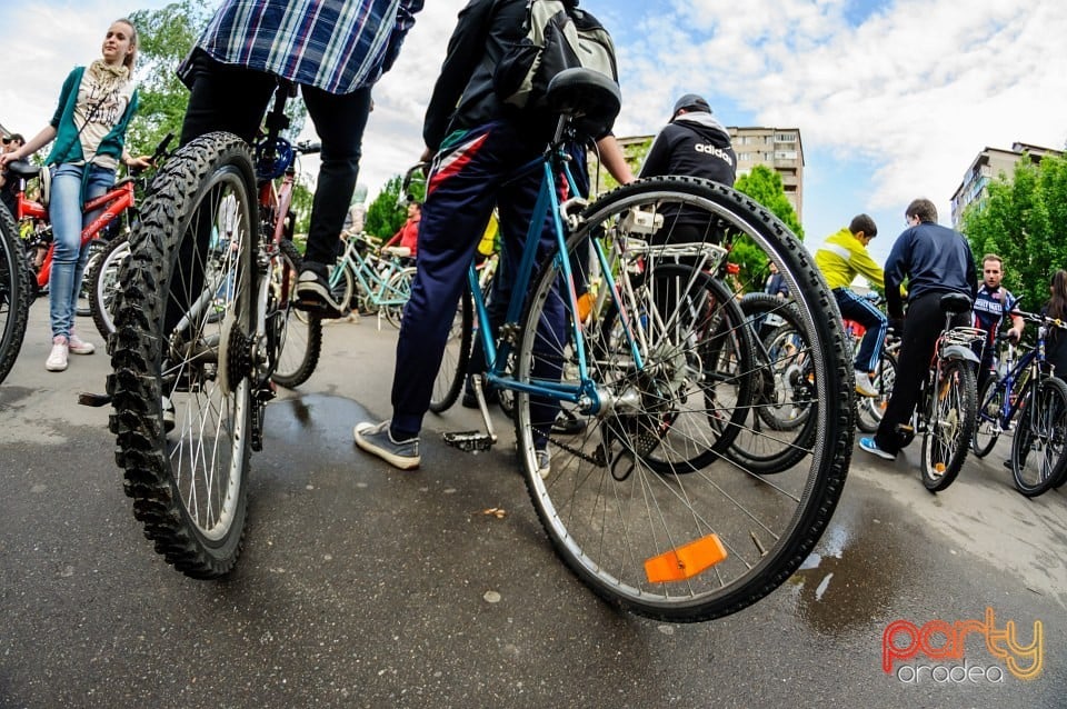 Critical Mass, Oradea