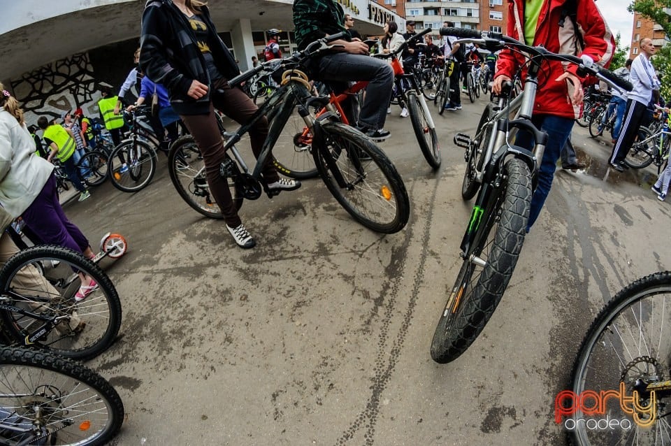 Critical Mass, Oradea