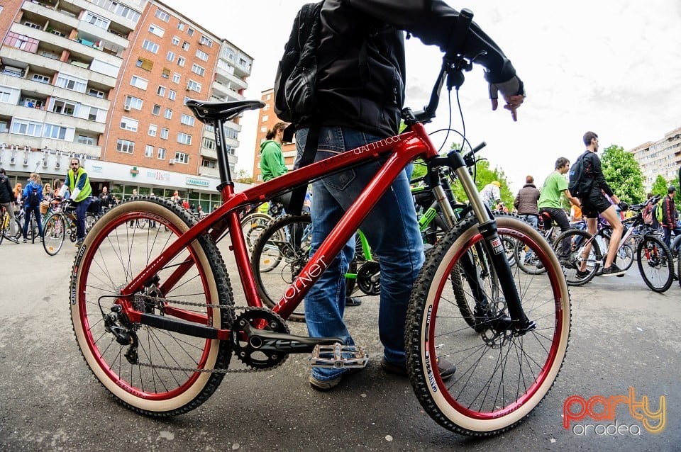 Critical Mass, Oradea