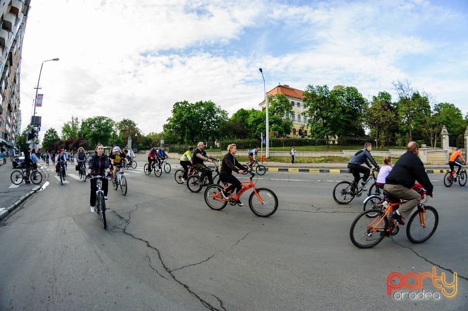 Critical Mass, Oradea