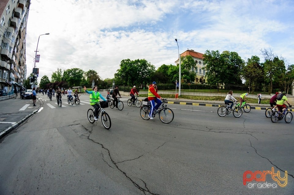 Critical Mass, Oradea