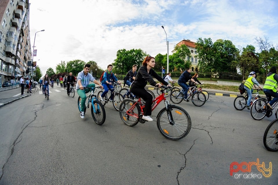 Critical Mass, Oradea