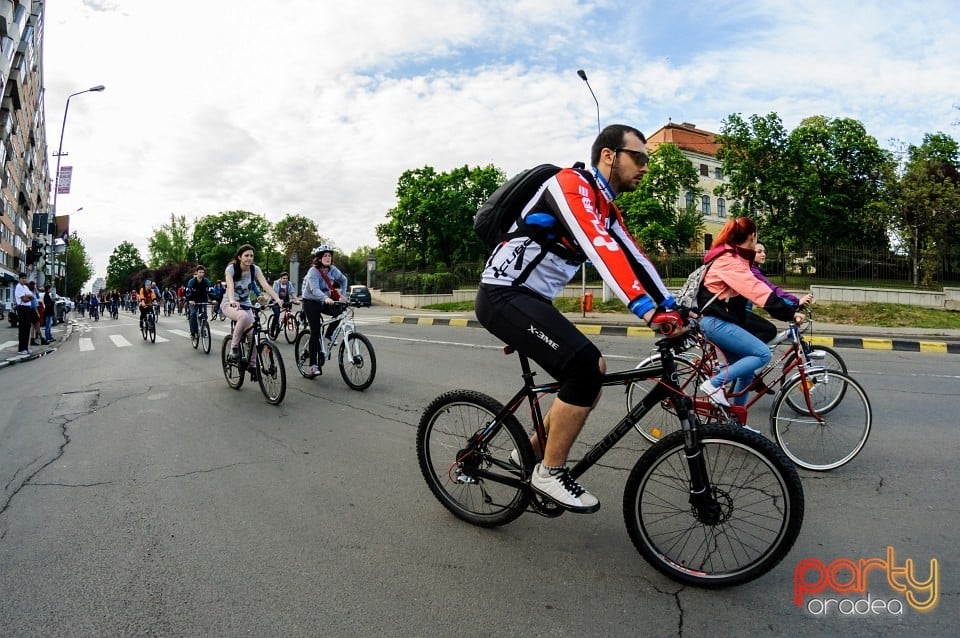 Critical Mass, Oradea