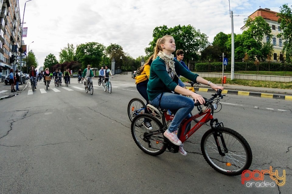 Critical Mass, Oradea