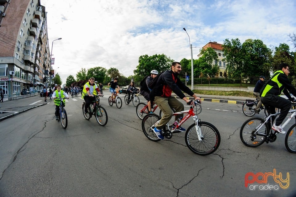 Critical Mass, Oradea