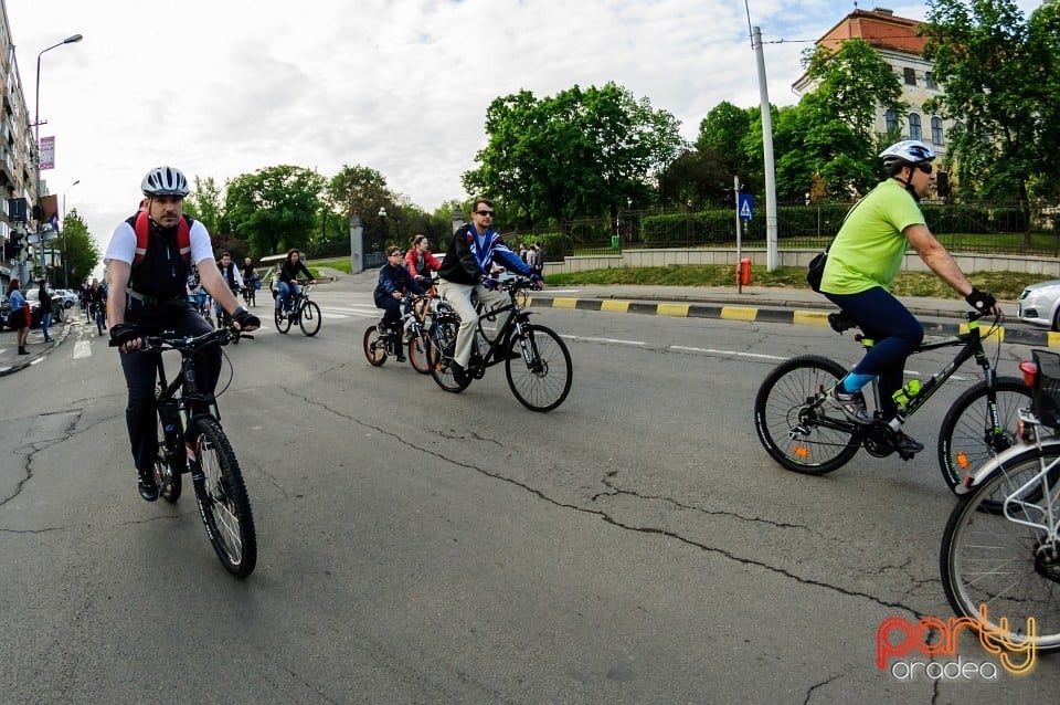 Critical Mass, Oradea