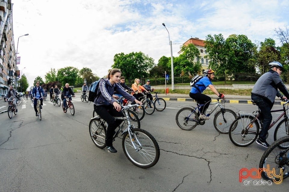 Critical Mass, Oradea