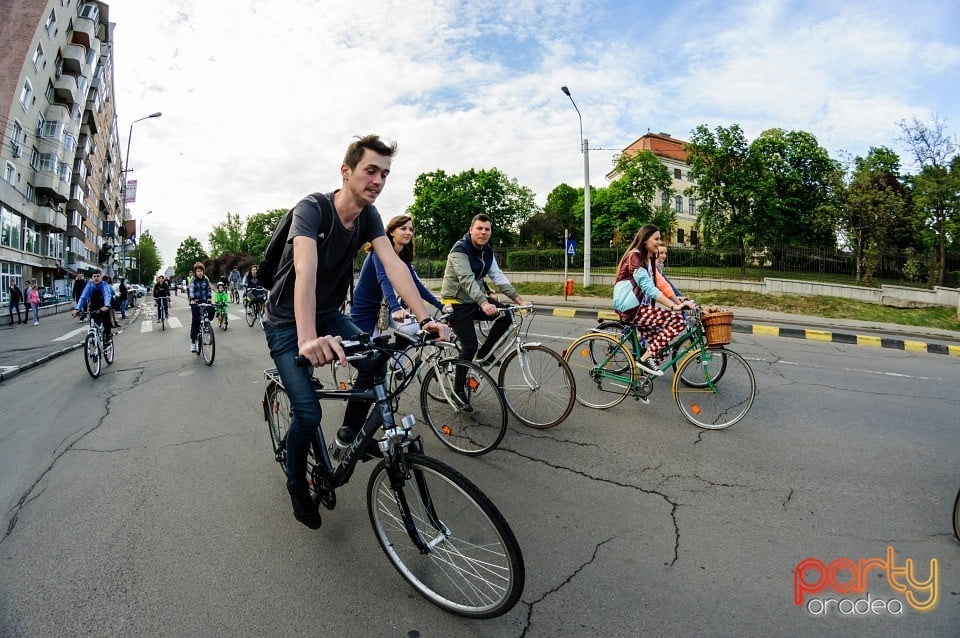 Critical Mass, Oradea