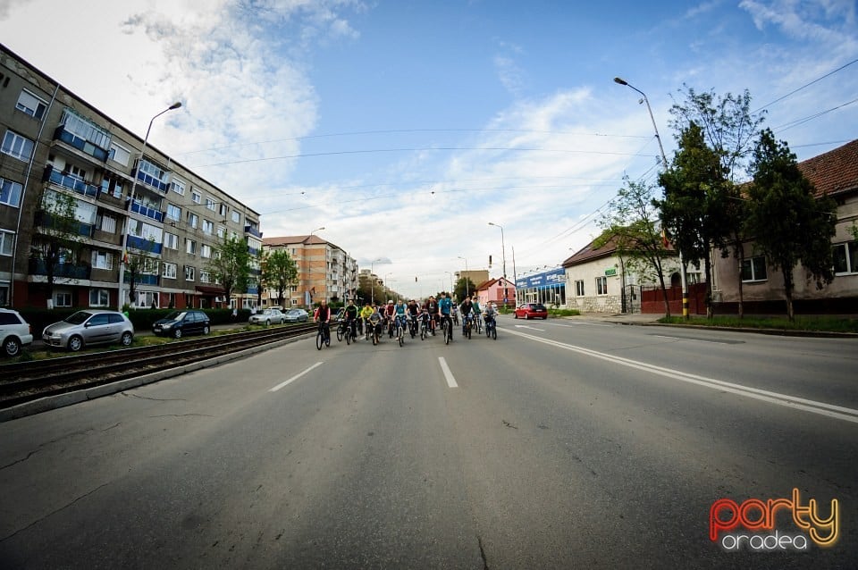 Critical Mass, Oradea