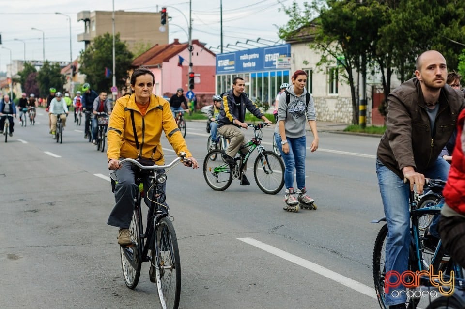 Critical Mass, Oradea