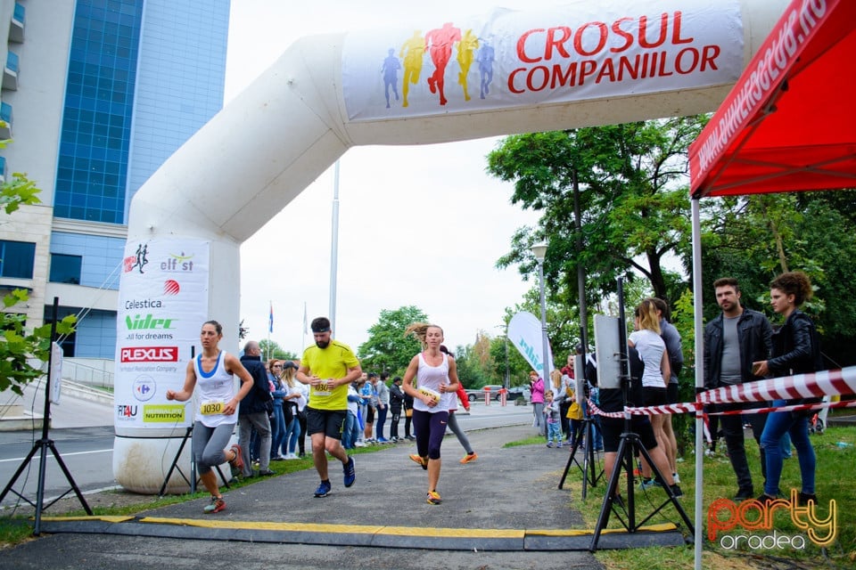 Crosul Companiilor, Oradea