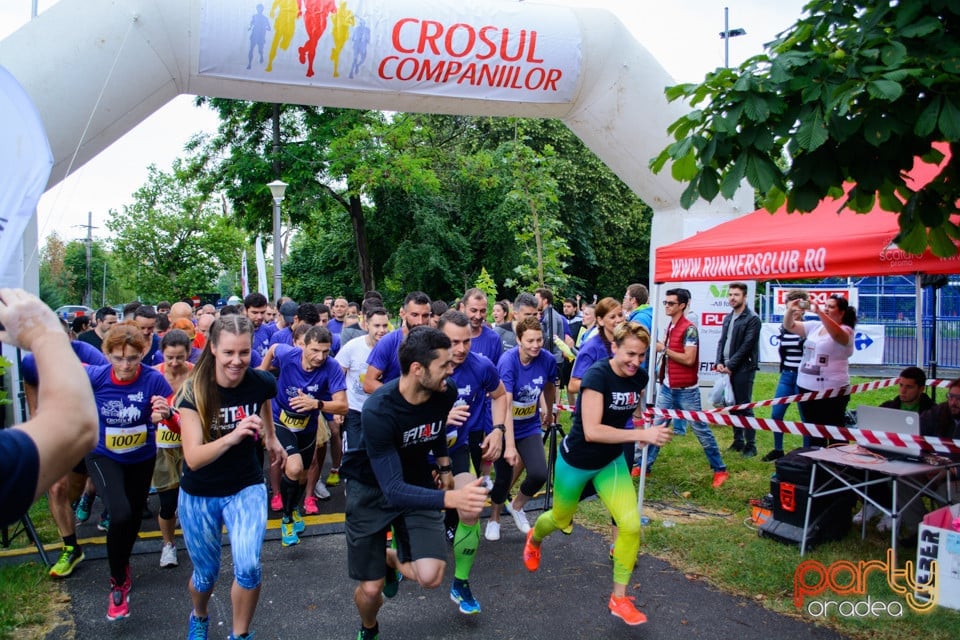 Crosul Companiilor, Oradea