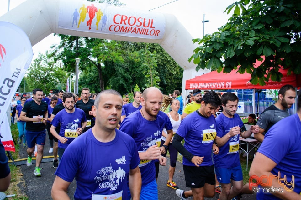 Crosul Companiilor, Oradea