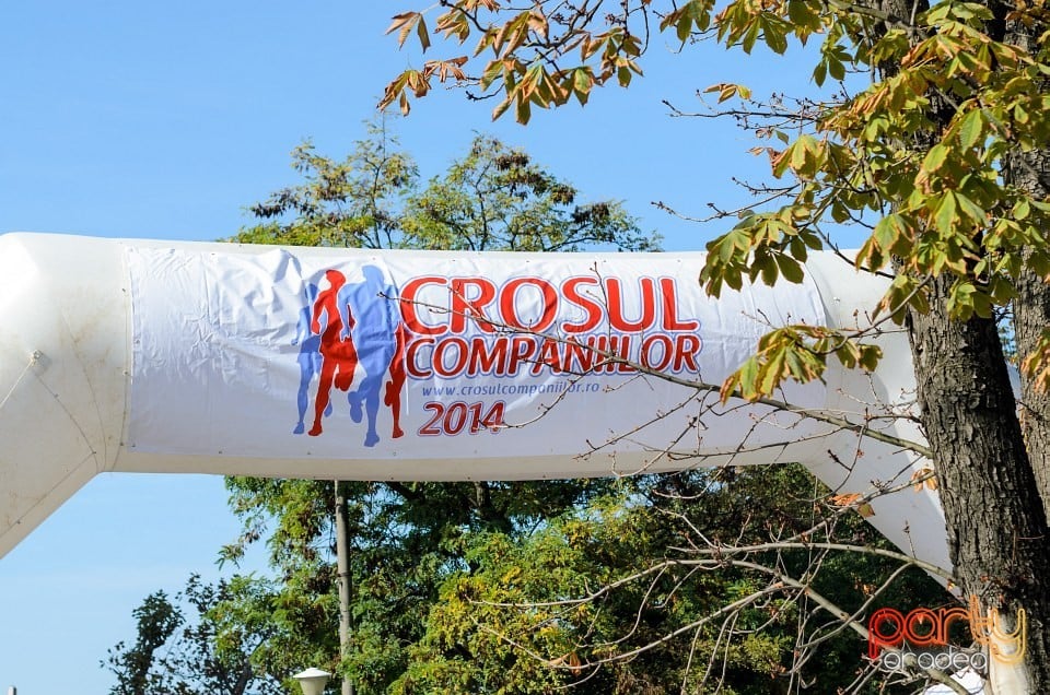 Crosul Companiilor, Oradea