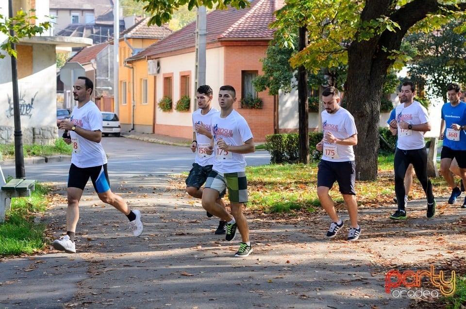 Crosul Companiilor, Oradea