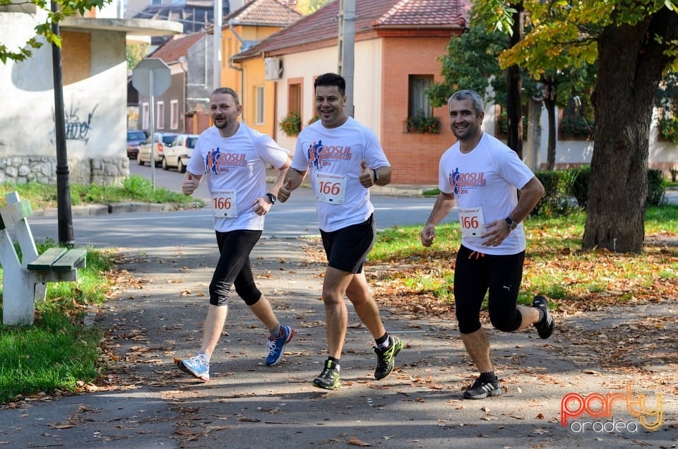 Crosul Companiilor, Oradea