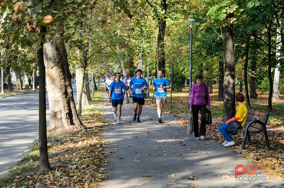 Crosul Companiilor, Oradea