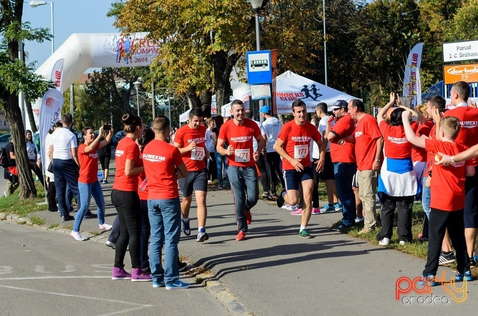 Crosul Companiilor, Oradea