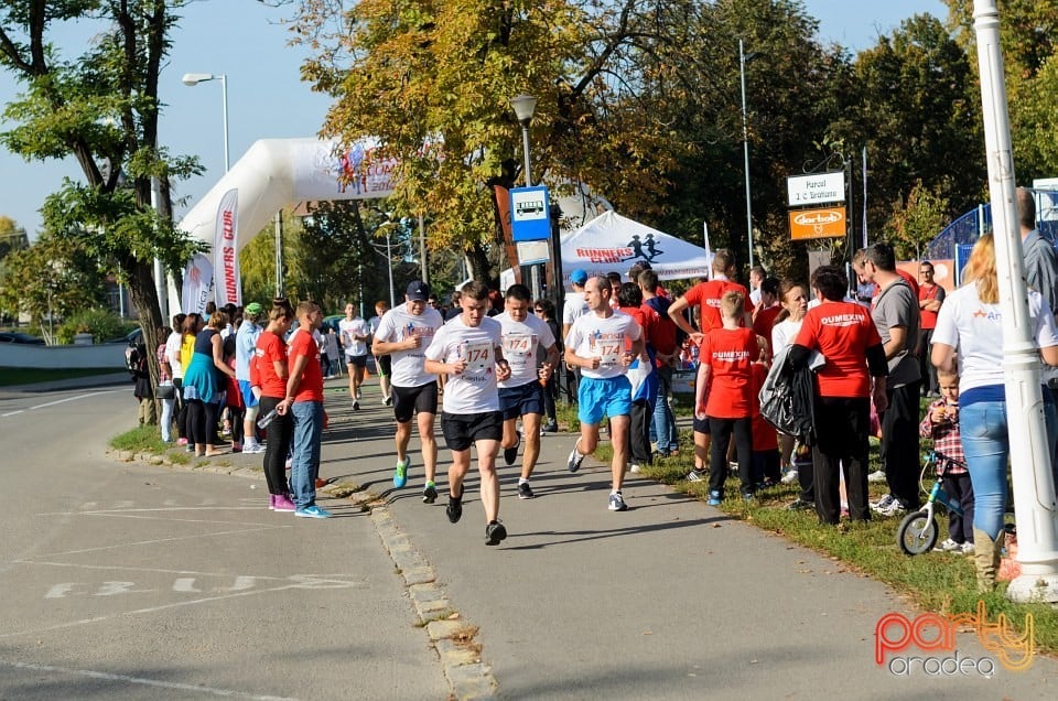 Crosul Companiilor, Oradea