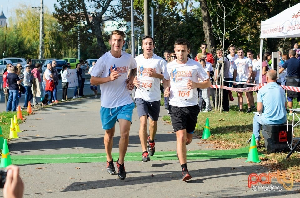 Crosul Companiilor, Oradea