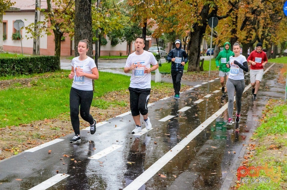 Crosul Companiilor, Oradea