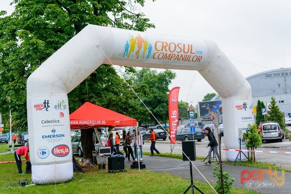 Crosul Companiilor, Oradea