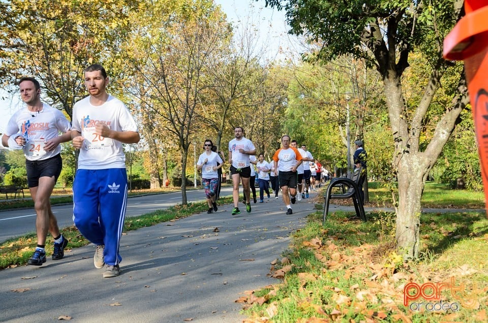 Crosul Companiilor, Oradea