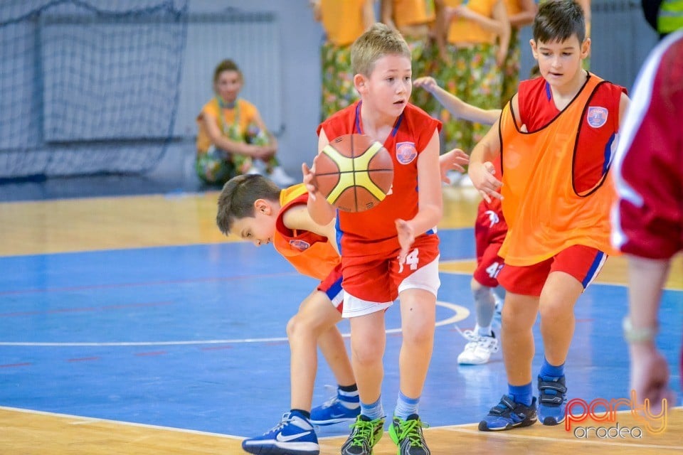 CSM CSU Oradea vs Gaz Metan Mediaş, Arena Antonio Alexe