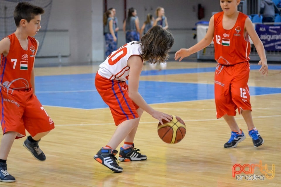 CSM CSU Oradea vs Phoenix Galaţi, Arena Antonio Alexe