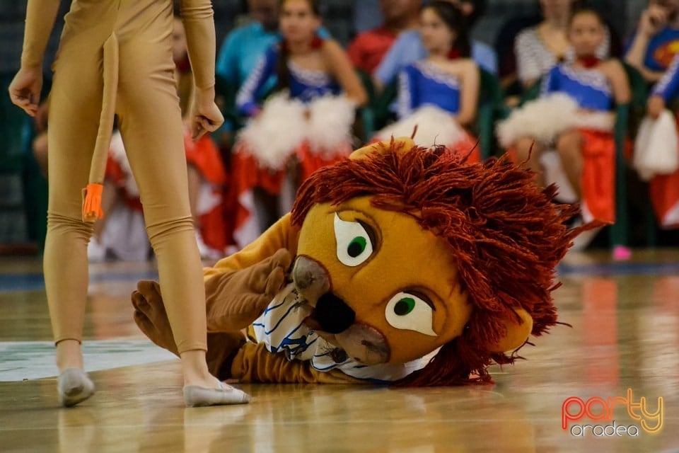 CSM Oradea VS Asesoft Ploieşti, Arena Antonio Alexe