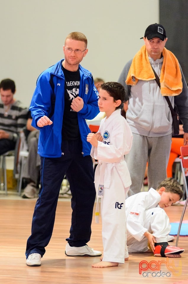 Cupa Bihorul TKD, 